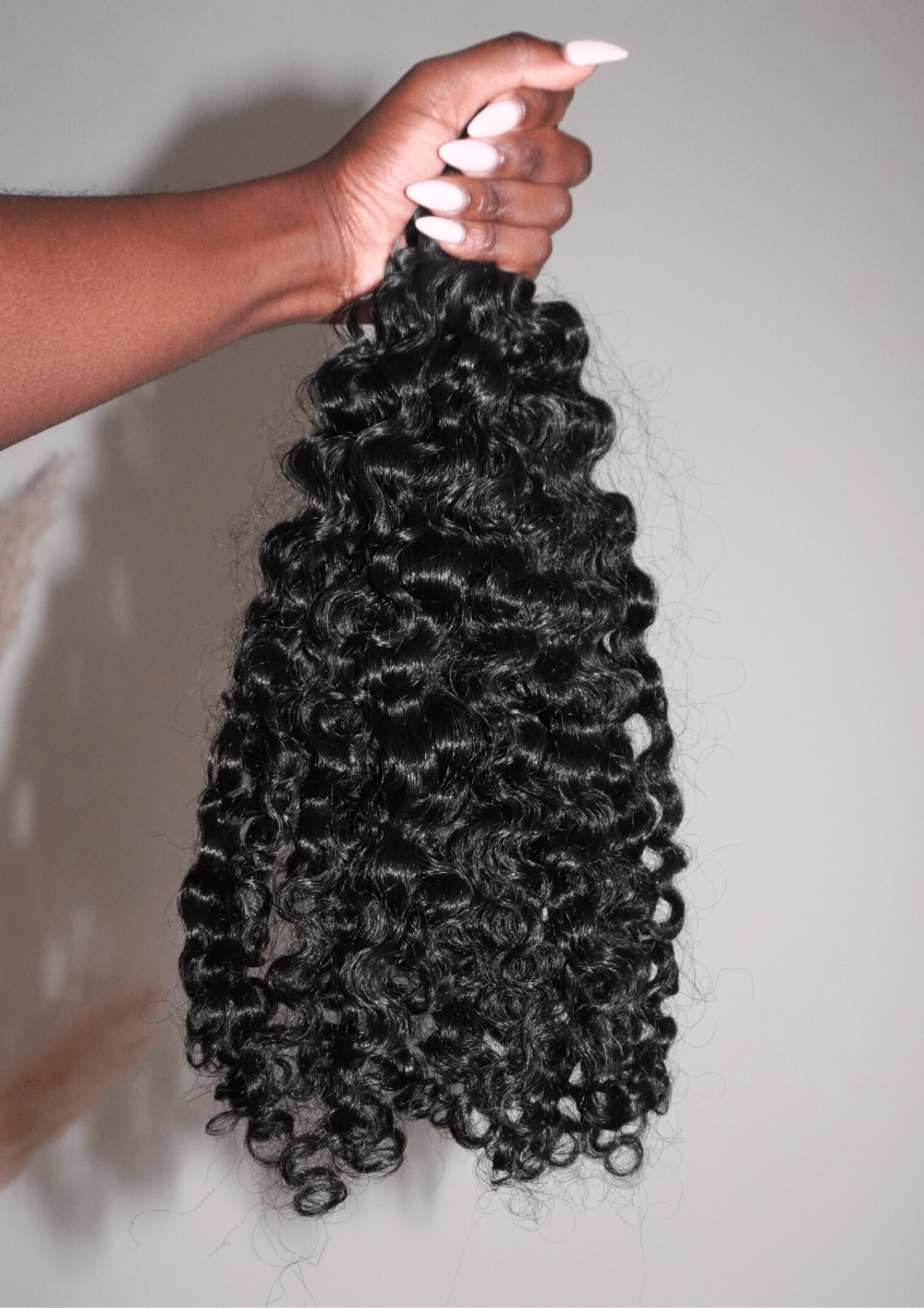 Burmese Curl