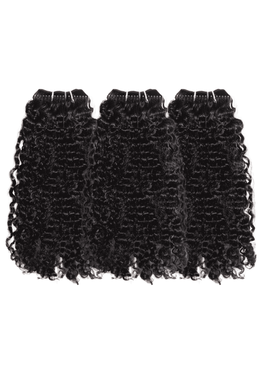 Burmese Curl Pack de 3|-30%