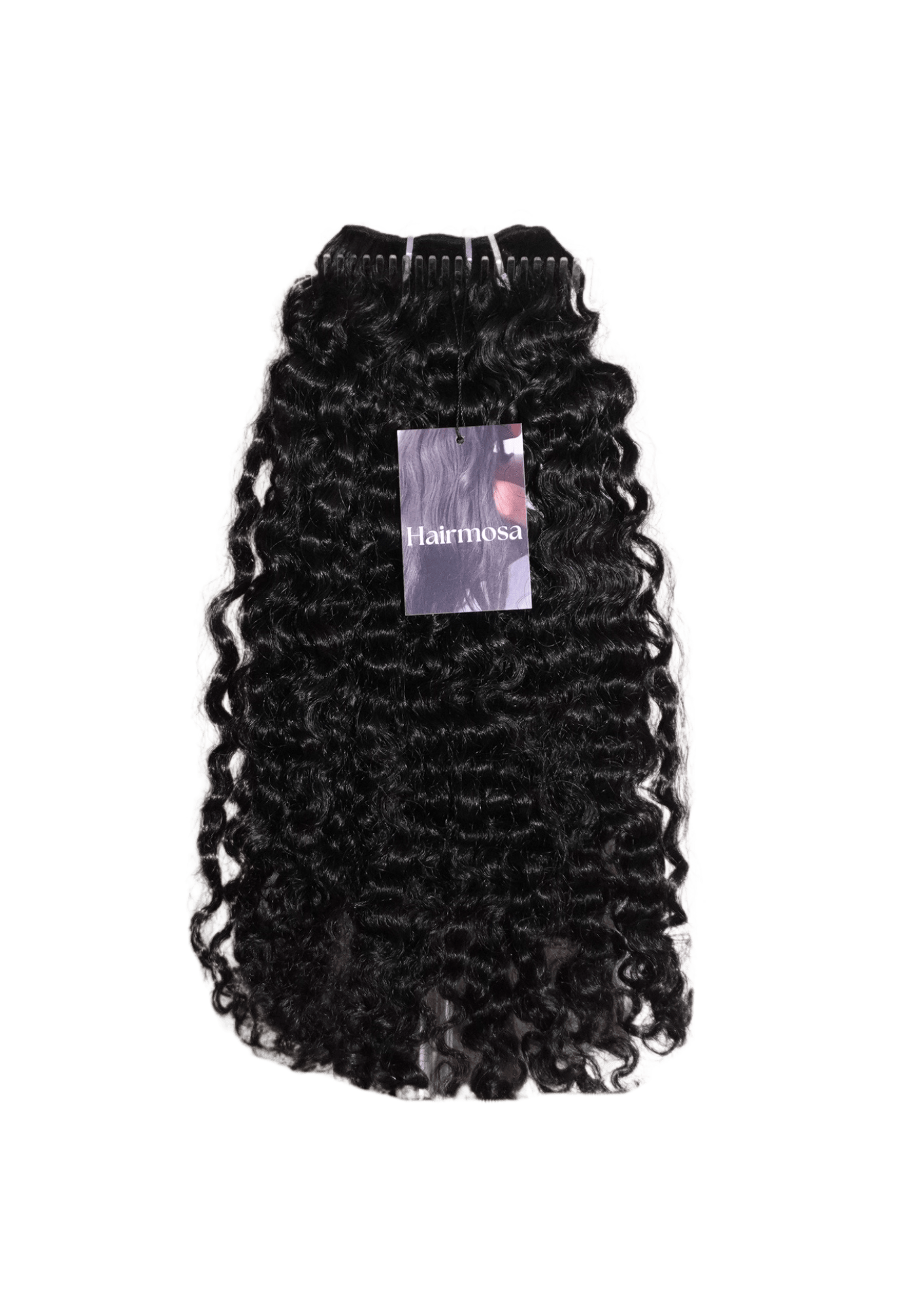 Burmese Curl