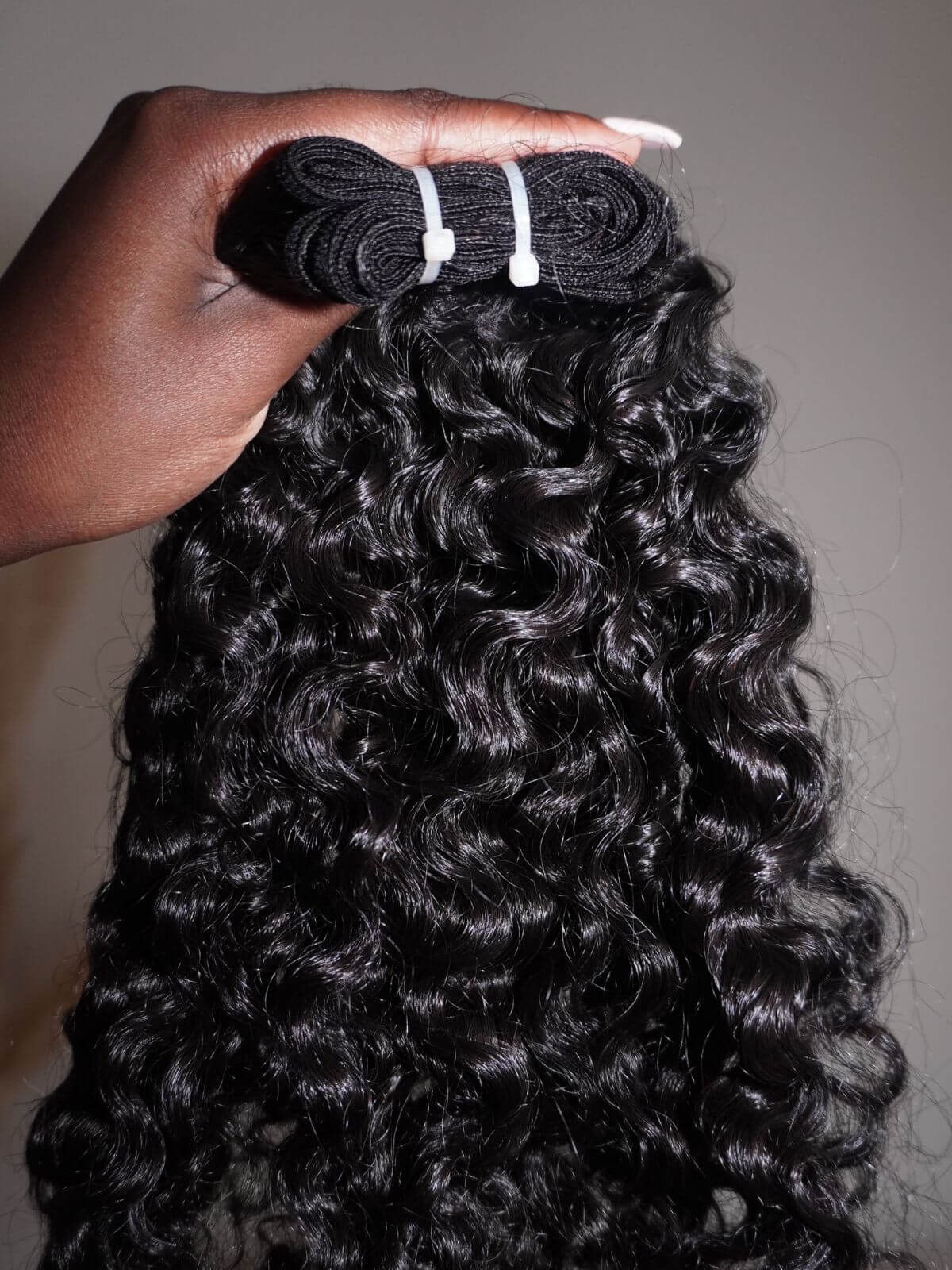 Burmese Curl